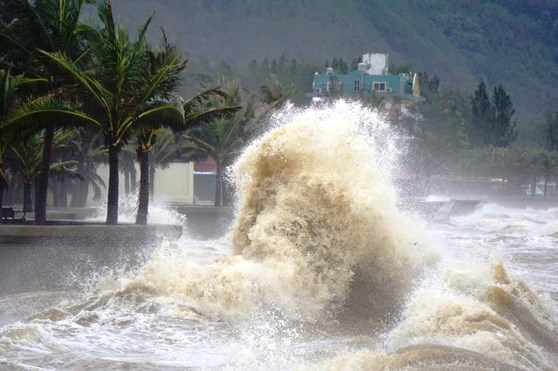 Pronostican entre 10 y 12 tormentas y depresiones tropicales en el Mar del Este para 2022 hinh anh 2