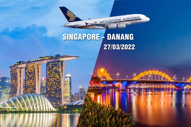 Singapore Airlines reanudara vuelos comerciales a ciudad vietnamita de Da Nang hinh anh 1
