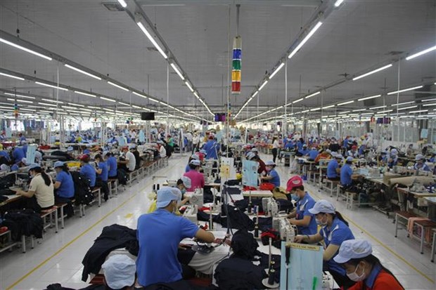 Provincia vietnamita de Bac Lieu apoya a empresas a capacitar a trabajadores locales hinh anh 2