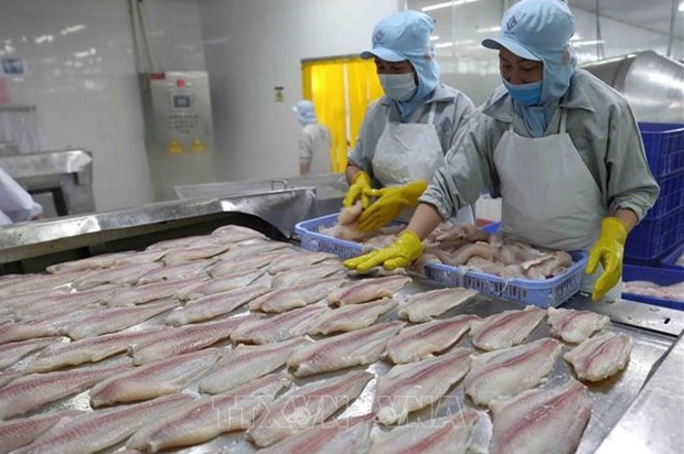 Vietnam por alcanzar ingresos multimillonarios de exportaciones de pescado Tra en 2022 hinh anh 1