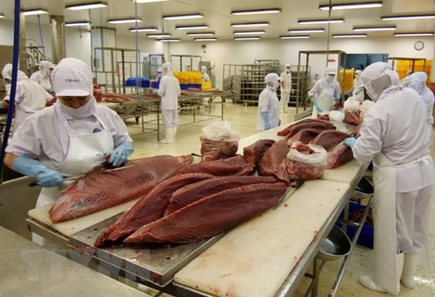 Exportaciones de atun de Vietnam aumentaron hasta 108 por ciento en enero hinh anh 1