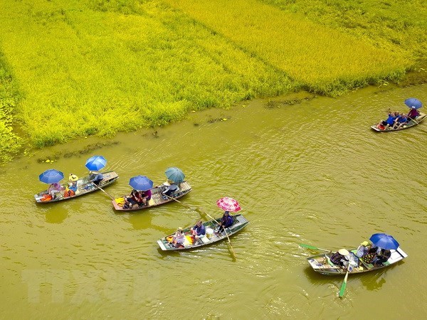 Vietnam logra aumentar indice de competitividad turistica hinh anh 1