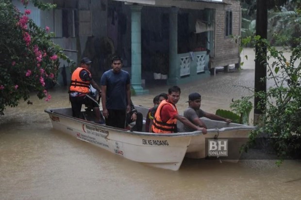 Miles de personas en Malasia evacuadas por inundaciones hinh anh 1