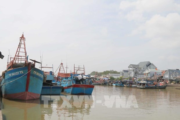 Provincia vietnamita de Tra Vinh promueve economia maritima y agricultura hinh anh 1