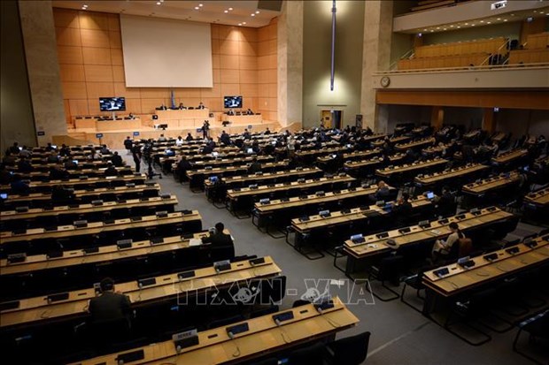 Vietnam participa en sesion 49 del Consejo de Derechos Humanos de la ONU hinh anh 1