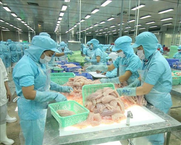 Vietnam reporta superavit de balanza comercial agricola hinh anh 2