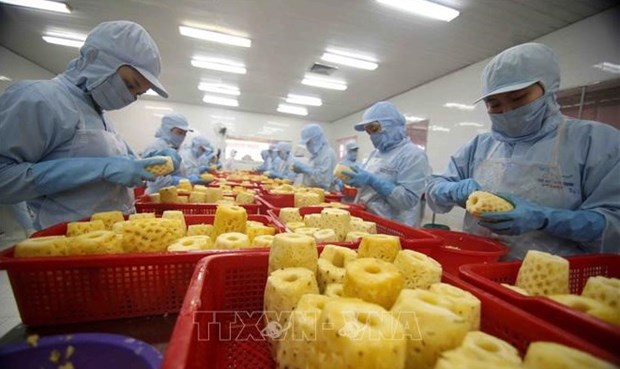 Analizan impactos del conflicto entre Rusia y Ucrania en exportacion de productos agricolas vietnamitas hinh anh 1
