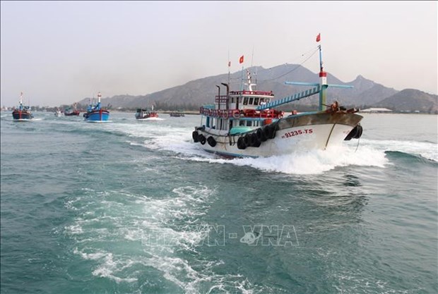 Provincia vietnamita de Tien Giang trabaja contra la pesca ilegal hinh anh 1