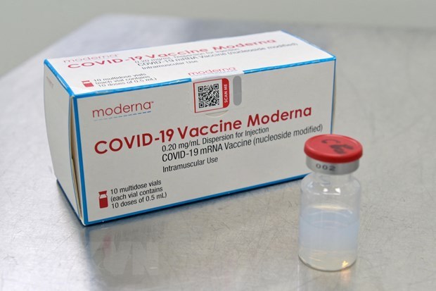 Autoriza Vietnam extension de vida util de vacuna Moderna contra el COVID-19 hinh anh 1