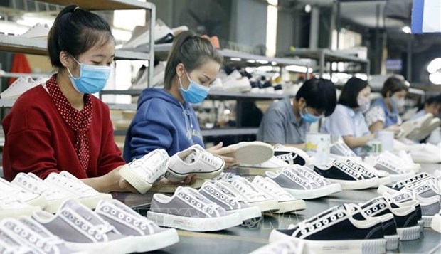 Vietnam representa mas del 10 por ciento mundial de las exportaciones de calzado hinh anh 1