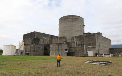 Filipinas incluye la energia nuclear en su programa de descarbonizacion hinh anh 1