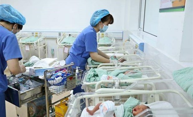 Vietnam trabaja por controlar desequilibrio de genero en los nacimientos hinh anh 1
