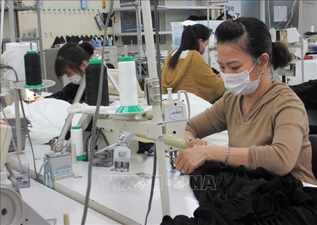 Empresa japonesa ayuda a vietnamitas en busqueda de trabajo en Japon hinh anh 1