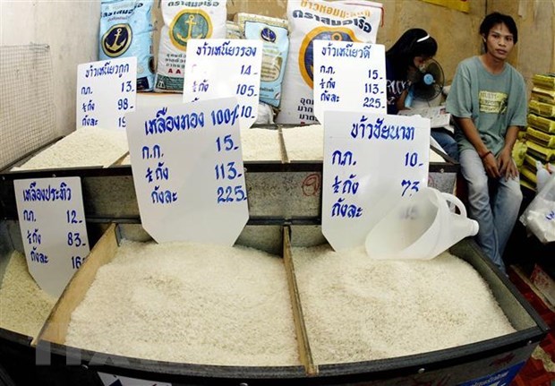 Preven aumento de precio de arroz tailandes en segundo trimestre de 2022 hinh anh 1