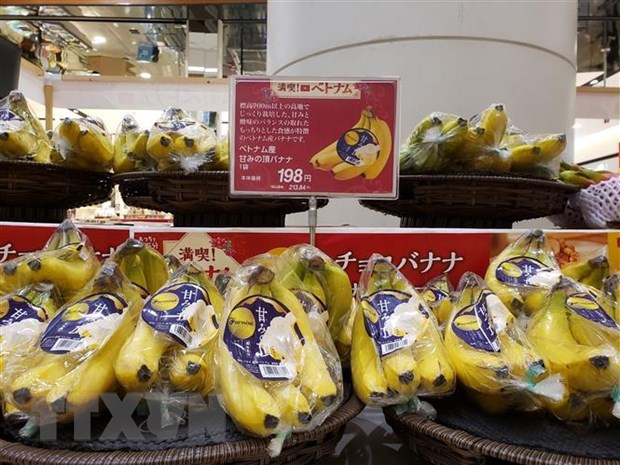 Productos alimenticios Vietnam acaparan atencion del publico japones hinh anh 1