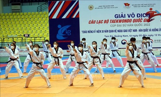Torneo de taekwondo conmemora 30 anos de lazos Vietnam-Corea del Sur hinh anh 1