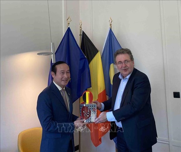 Region belga busca una cooperacion mas fuerte con localidades vietnamitas hinh anh 1