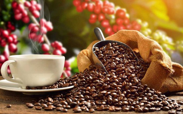 Aumentan exportaciones vietnamitas de cafe a Japon hinh anh 1