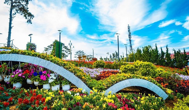Efectuaran en Vietnam IX Festival de flores Da Lat a finales de 2022 hinh anh 1