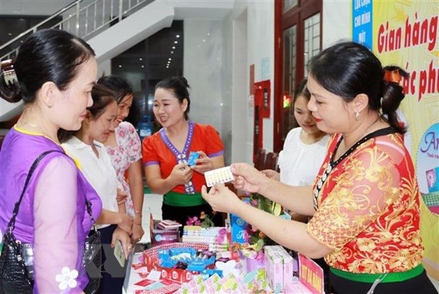 Destaca la ONU logros de Vietnam en mejoramiento de salud reproductiva hinh anh 2