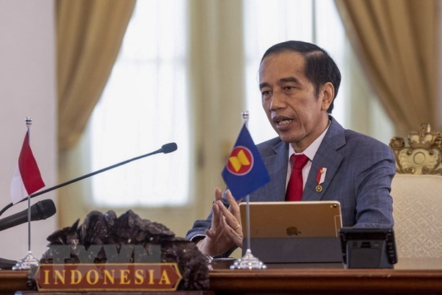 Presidente indonesio propone dialogo para resolver tension Rusia-Ucrania hinh anh 1