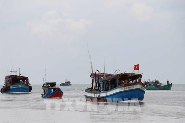 Provincia survietnamita trabaja por combatir pesca ilegal hinh anh 1