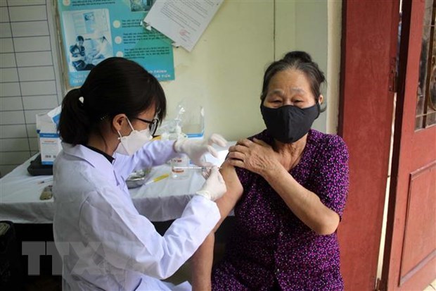 COVID-19: Mas de 95 mil pacientes recuperados se registran en Vietnam hinh anh 1