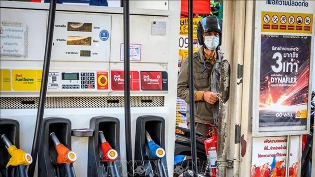 Tailandia aumentara la reserva de petroleo hinh anh 1
