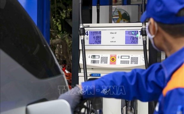 Aprueban en Vietnam resolucion sobre impuesto de proteccion ambiental para gasolina y petroleo hinh anh 1