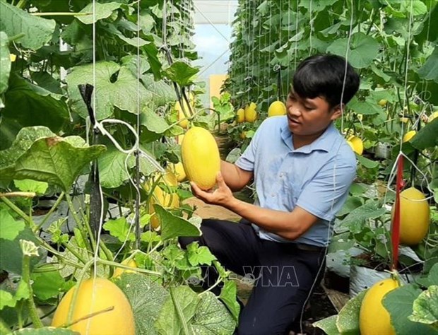 Provincia vietnamita de Ninh Thuan dedica fondo millonario a reduccion de pobreza sostenible hinh anh 2