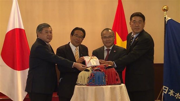 Japon quiere apoyar a Vietnam en desarrollo del beisbol hinh anh 1