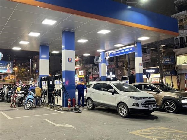 Proponen medidas para estabilizar precios de petroleo y gasolina en Vietnam hinh anh 2