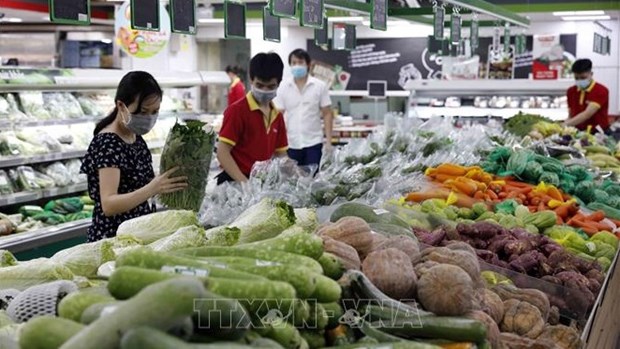 Ministro vietnamita propone medidas para facilitar circulacion de mercancias y productos agricolas hinh anh 1