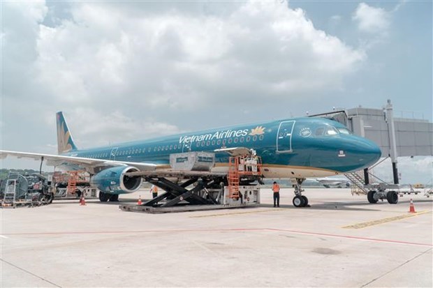 Vietnam Airlines transporta a primeros turistas extranjeros al pais hinh anh 1