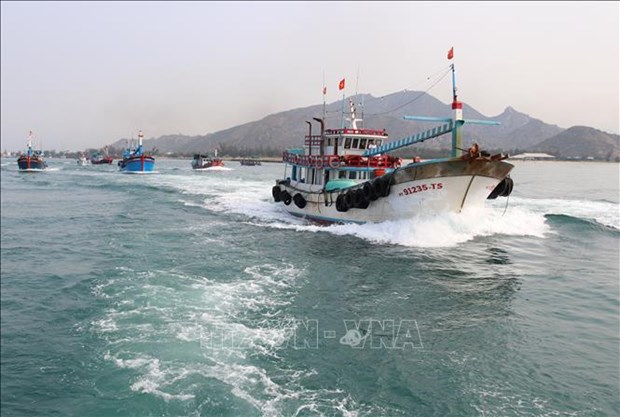 Vietnam redobla esfuerzos por una pesca sostenible en 2022 hinh anh 2