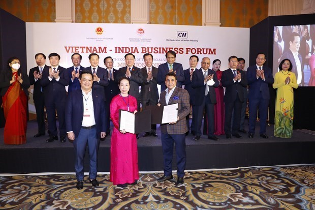 Vietnam e India buscan despertar potencial de cooperacion en comercio e inversion hinh anh 1