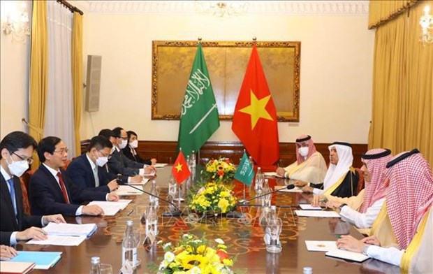 Vietnam, uno de los socios importantes en politica exterior de Arabia Saudita hinh anh 1