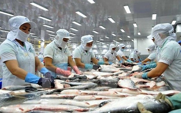 Aumentan exportaciones de pescado Tra vietnamita a Europa hinh anh 1