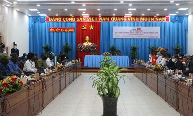 Empresa vietnamita firma contratos para exportar arroz a Sierra Leona hinh anh 1