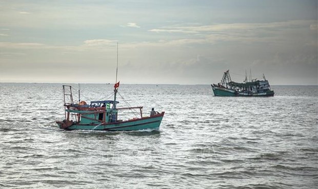 Vietnam gestiona barcos pesqueros por satelite en esfuerzos contra la pesca ilegal hinh anh 1