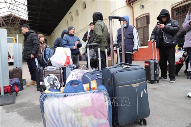 Embajada vietnamita asiste a vietnamitas evacuados de Ucrania a Alemania hinh anh 1
