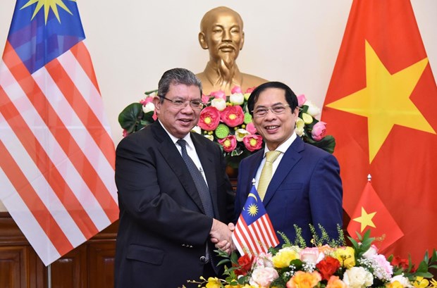 Promueven cooperacion entre Vietnam y Malasia hinh anh 1