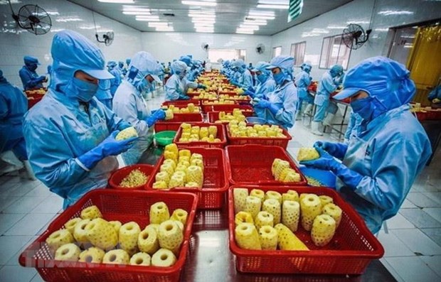 Estados Unidos, mayor mercado receptor de productos agricolas a Vietnam hinh anh 1