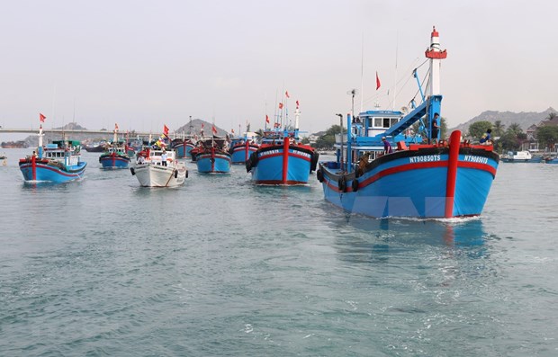 Provincia vietnamita se esfuerza por cumplir medidas contra pesca ilegal hinh anh 1