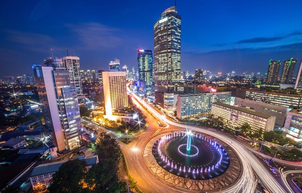 Emiratos Arabes Unidos ratifica inversion en nueva capital de Indonesia hinh anh 1