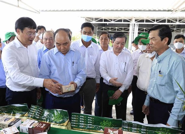 Presidente realiza visita de trabajo a la provincia deltaica de Dong Thap hinh anh 1