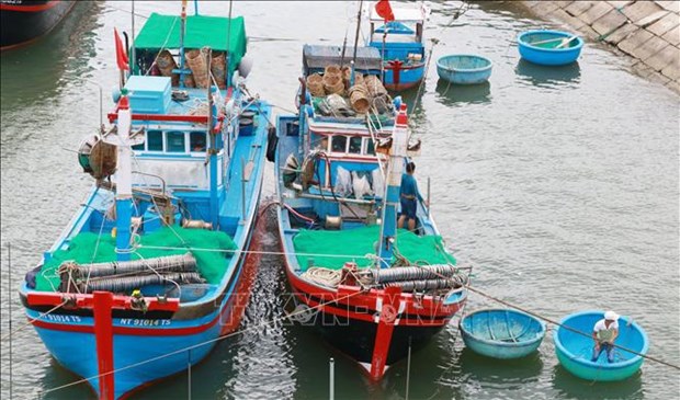 Produccion de mariscos de Vietnam alcanza mas de 566 toneladas en tres meses hinh anh 1