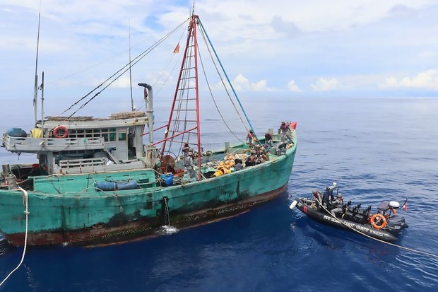 Indonesia regulara la pesca hacia la sostenibilidad hinh anh 1