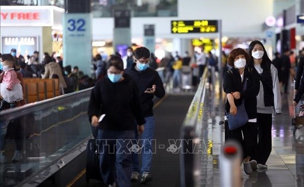 Aumentan en Vietnam tasa de ocupacion en vuelos internacionales hinh anh 1