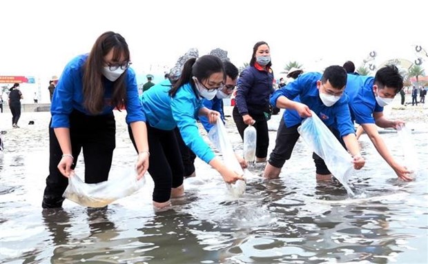 Provincia vietnamita busca regenerar los recursos acuaticos hinh anh 1